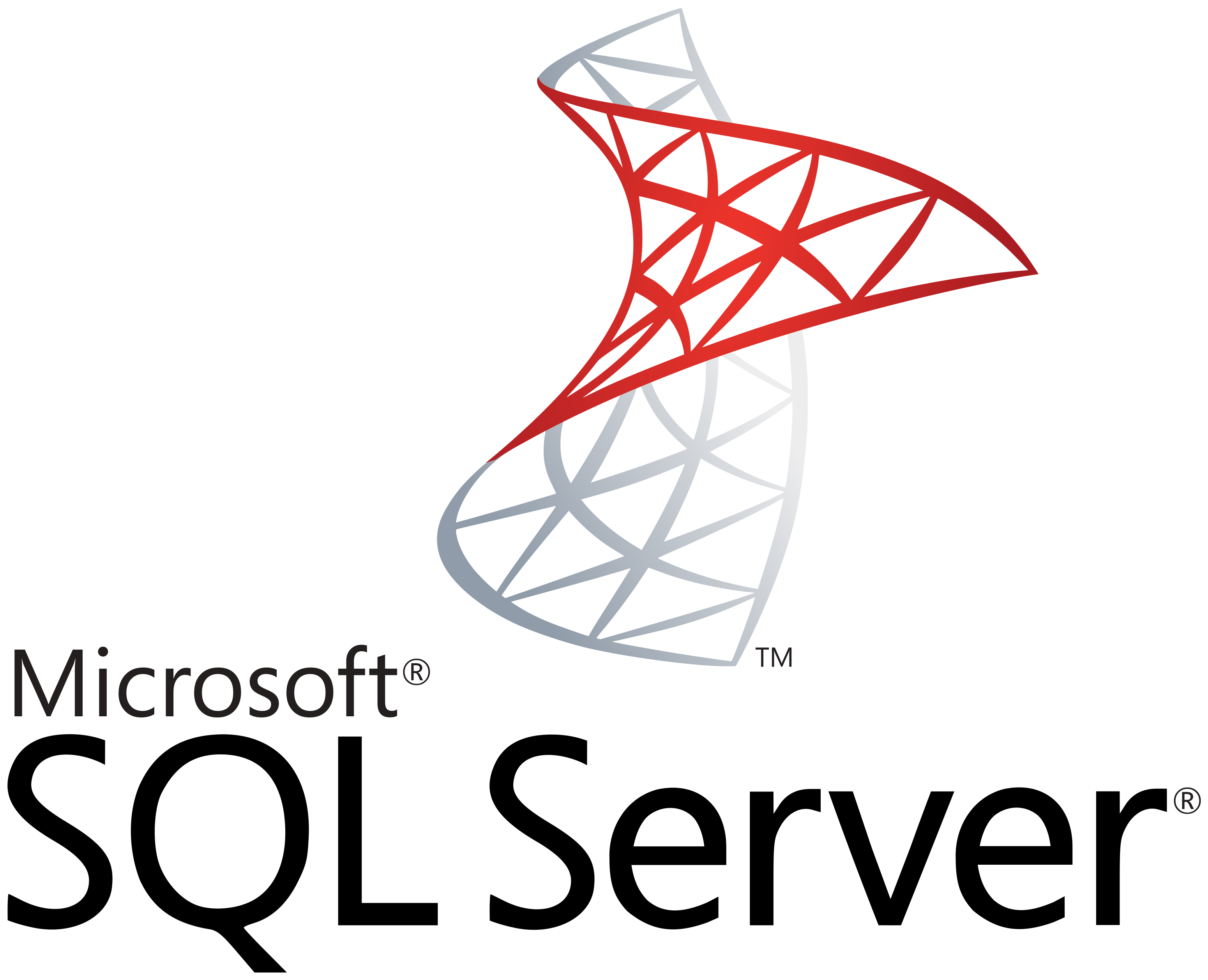 Microsoft SQL Server Logo